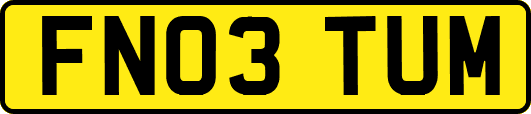 FN03TUM