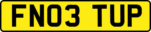 FN03TUP