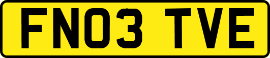 FN03TVE