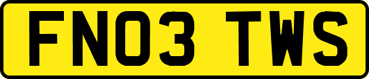 FN03TWS