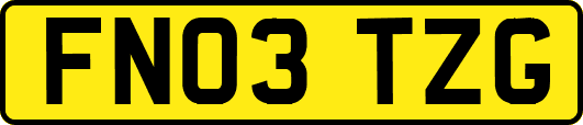 FN03TZG