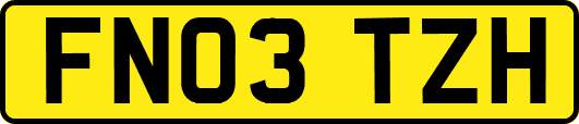 FN03TZH