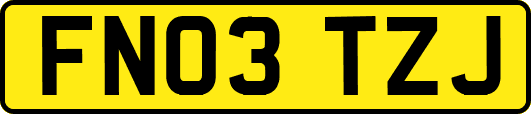 FN03TZJ
