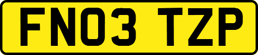 FN03TZP