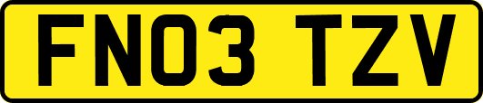 FN03TZV