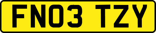 FN03TZY