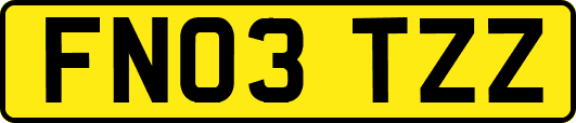 FN03TZZ