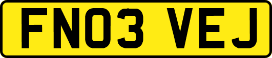 FN03VEJ