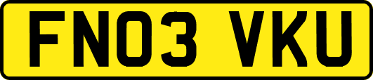 FN03VKU