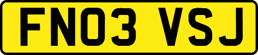 FN03VSJ