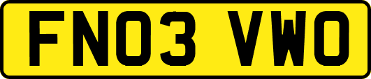 FN03VWO