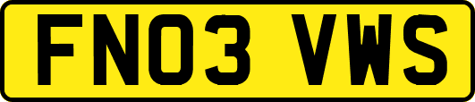 FN03VWS