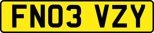 FN03VZY