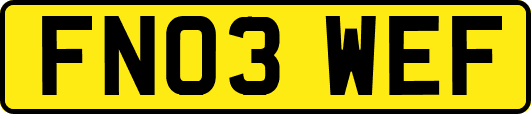 FN03WEF