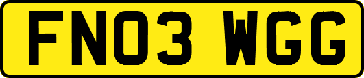 FN03WGG