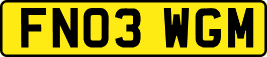 FN03WGM