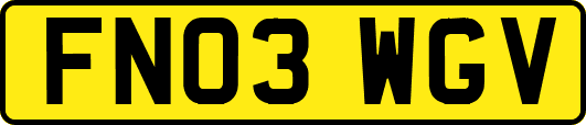 FN03WGV