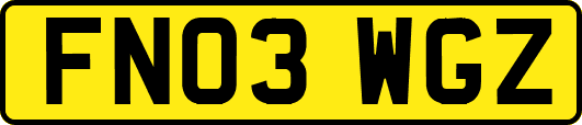 FN03WGZ