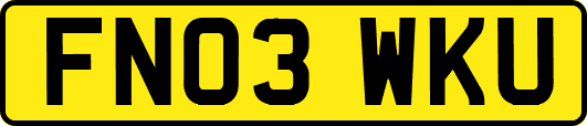 FN03WKU