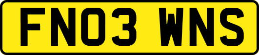 FN03WNS