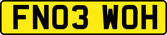 FN03WOH