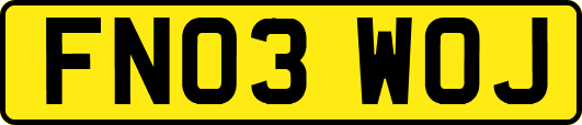 FN03WOJ