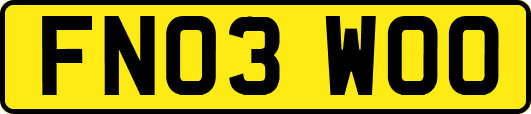 FN03WOO