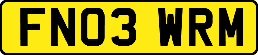 FN03WRM