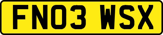 FN03WSX