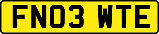 FN03WTE