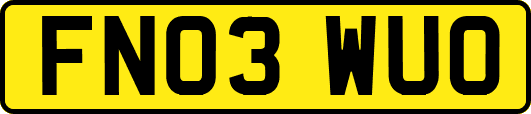 FN03WUO
