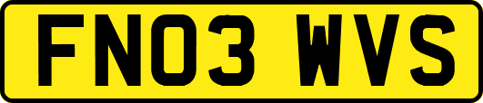 FN03WVS