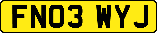 FN03WYJ