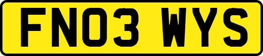 FN03WYS