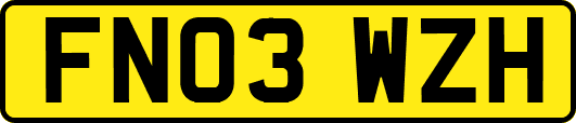 FN03WZH