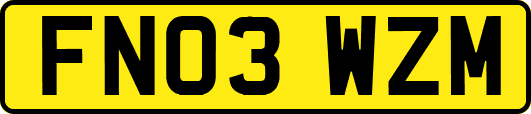 FN03WZM