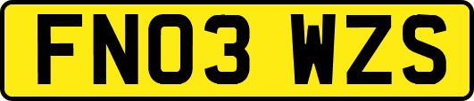 FN03WZS