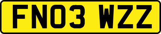 FN03WZZ