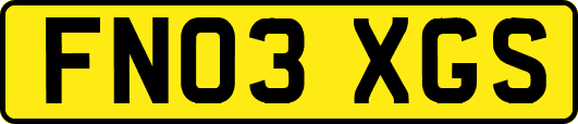 FN03XGS