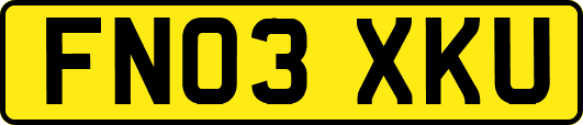 FN03XKU