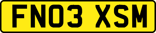 FN03XSM
