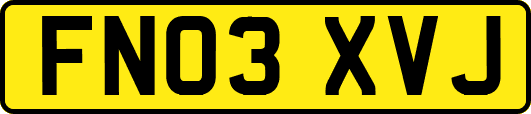 FN03XVJ