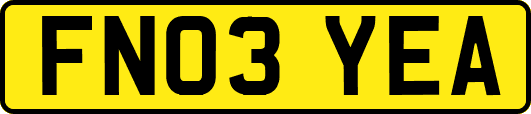 FN03YEA
