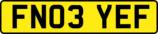 FN03YEF