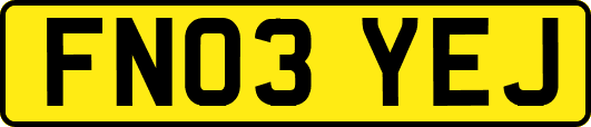 FN03YEJ