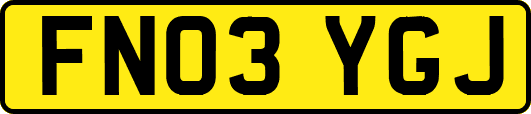 FN03YGJ