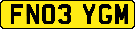 FN03YGM