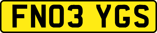 FN03YGS