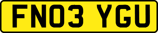 FN03YGU