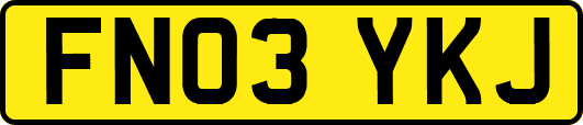 FN03YKJ